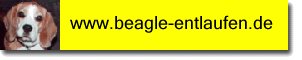 Logo Beagle in Not